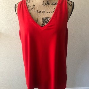 Express v-neck top